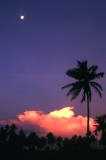 Moon over Sigatoka