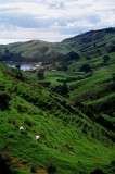 Green Hills at Coromandel