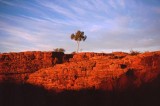 Kings Canyon at Dawn