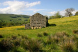 A Barn in Swaledale, Yorkshire Dales