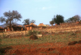 Swazi Houses
