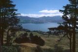 Otago Harbour from Larnach Castle