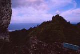 Tropical Rainforest on Rarotonga