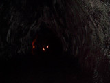 Lava Tube Volcano NP Hawaii 038.JPG