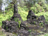 Lava Tree monument Picture 076.jpg