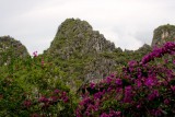 Hạ Long Bay 2007