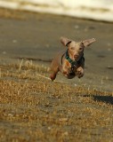 I Also Love Running On The Beach