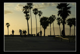 Venice Beach