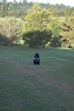 Little Dog, Big World 10/04