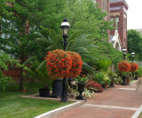 Smithsonian Garden - June Colors