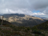 P4226117.jpg