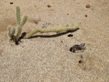 P4236220.jpg