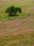 P4266517.jpg