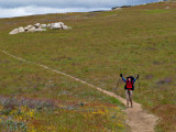 approaching Eagle Rock