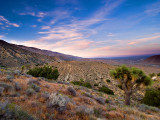 Looking over the Mojave