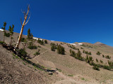 P7284034.jpg