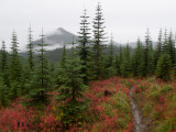 PA156776.jpg