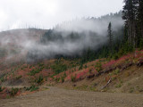PA176814.jpg