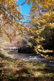 Deep Creek