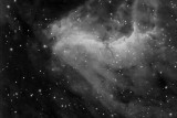 IC 5070 Pelican Nebula In Cygnus