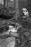 _MG_5855_DxO_raw_BW_lg.jpg