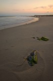 20070725-queens-957.jpg