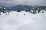 Muskeg Snow Field - 2