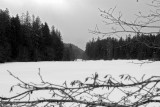 Blind River at Fish Hatchery - 4