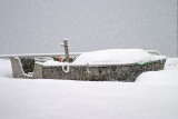 Boat in a sea of snow