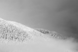 White Hillside