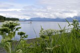 Boat through Cow Parsnip