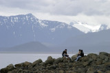 Talking on the rocks