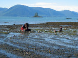 Looking for sand creatures (Camp Lorraine - Vank Island)