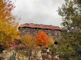 Fall Foliage