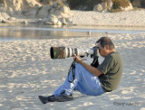 The Bird Photographer