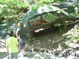 Dan-yr-Ogof 2007 074