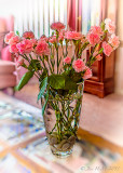 Pink Carnations