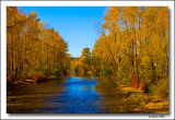 Autumn on the Cowichan River