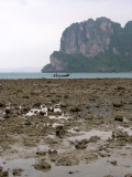 Railay Low Tide 9.jpg