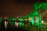 Night in green