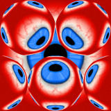 1633_800.jpg