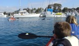 kayaking with sea lions