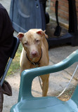 DSC_8854.jpg