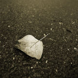 November 17