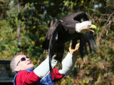 Eagle Release