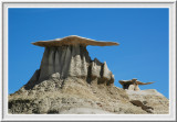 Double Wings. Bisti Badland