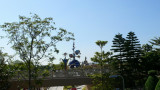 P1030811_resize.JPG
