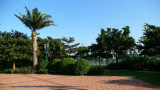 P1030861_resize.JPG