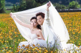 82QV2470.jpg