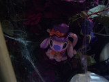 DSCF2698.JPG